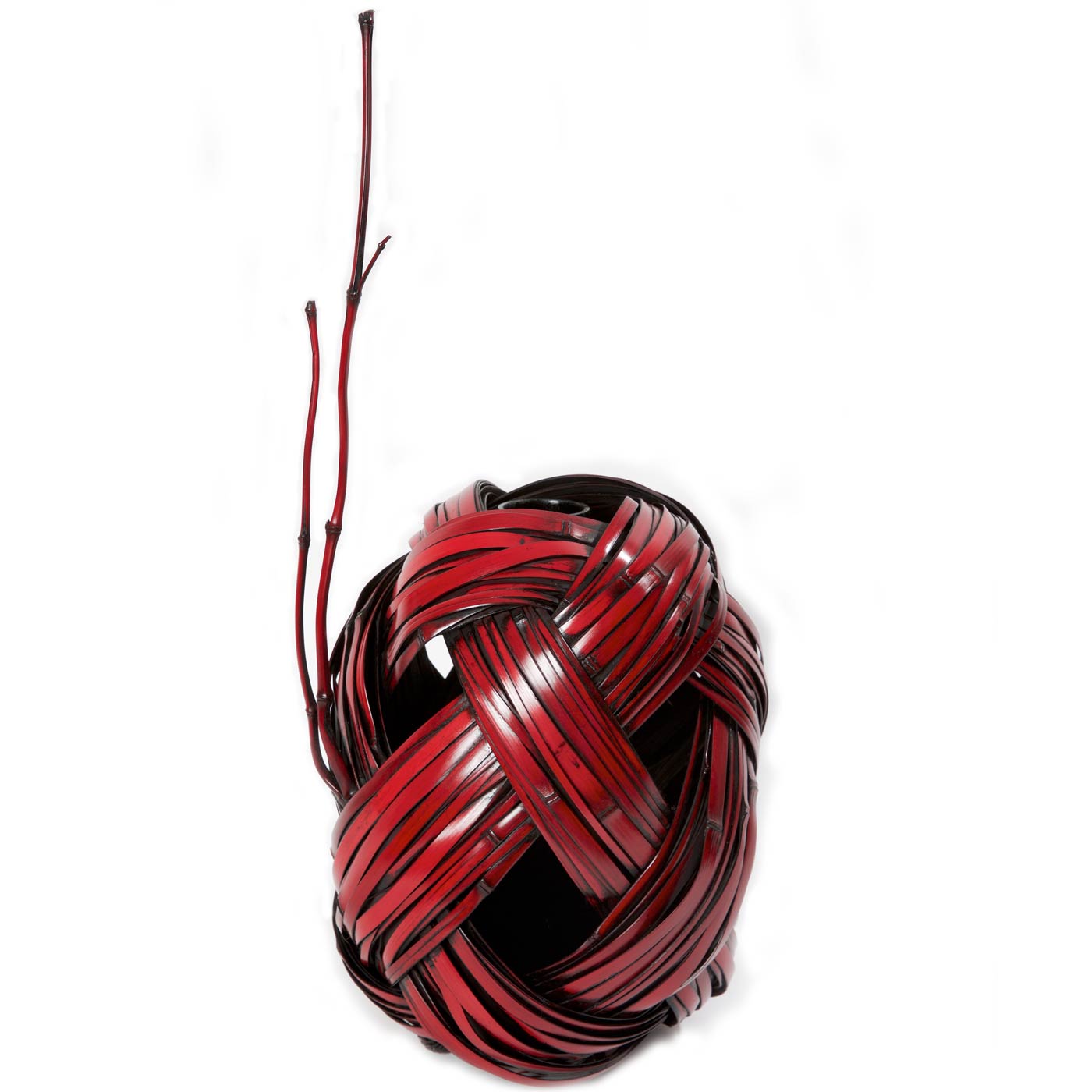 Daruma Branch