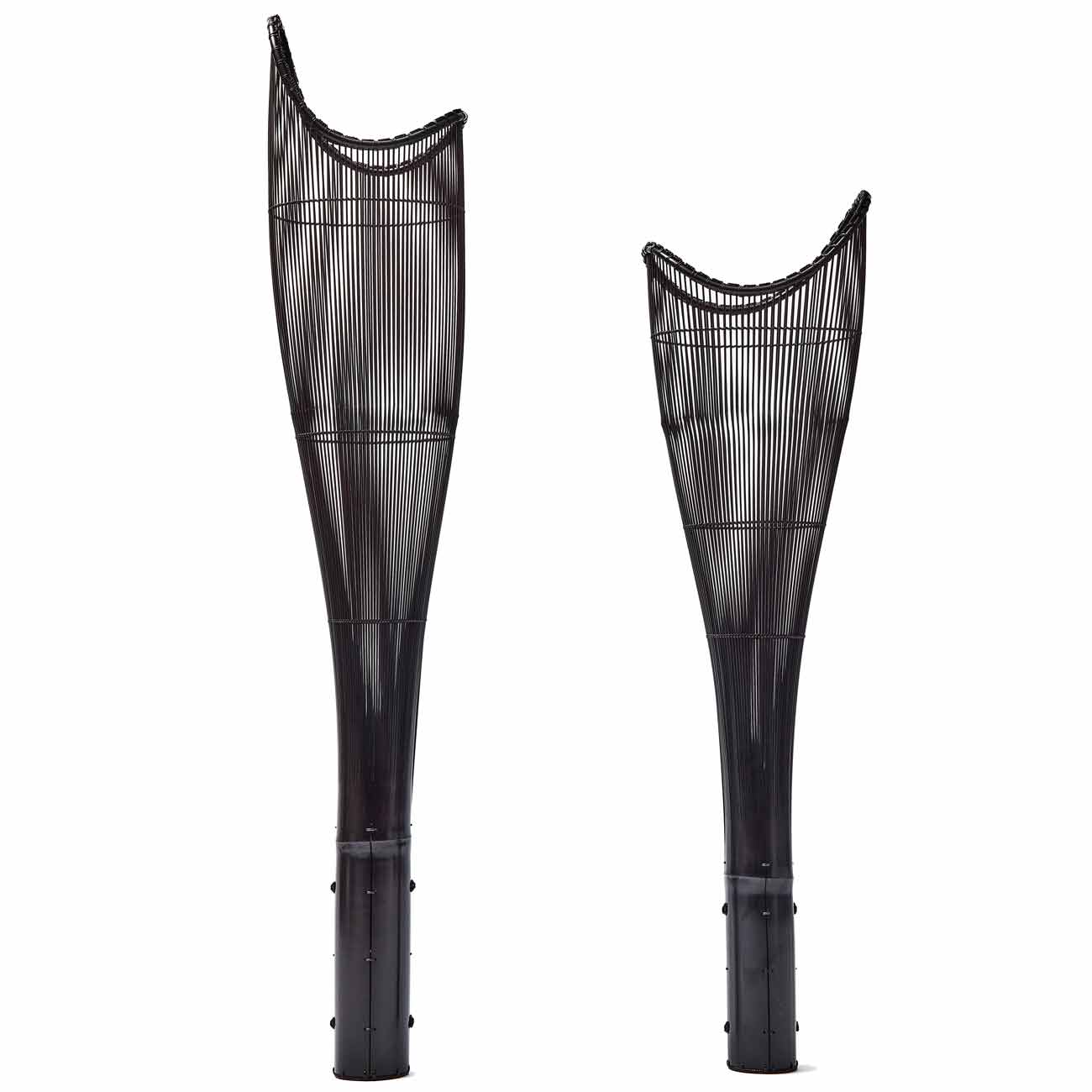 Lumière Ascendante